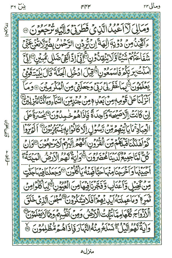 Surah Yaasin - Quran Page